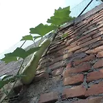 Gospodarstwo agroturystyczne Podere La Capacciola