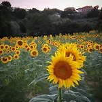 Podere La Capacciola *