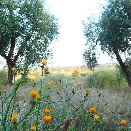 Podere La Capacciola * 시나룬가