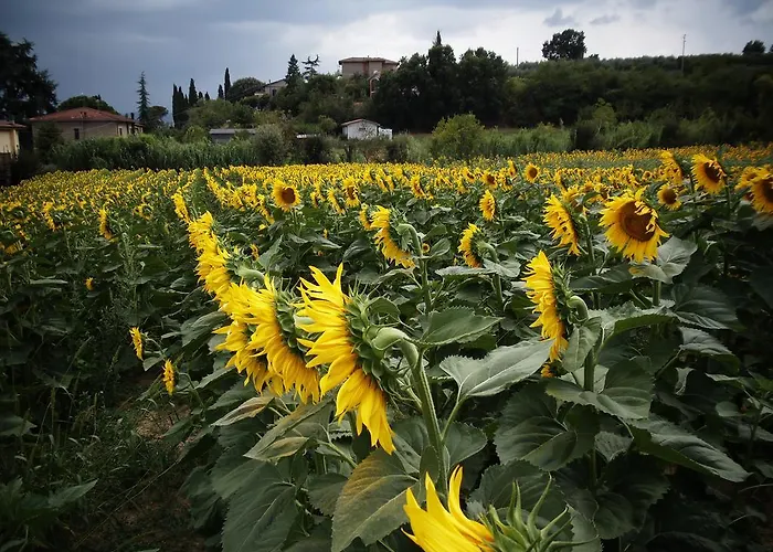 Podere La Capacciola *