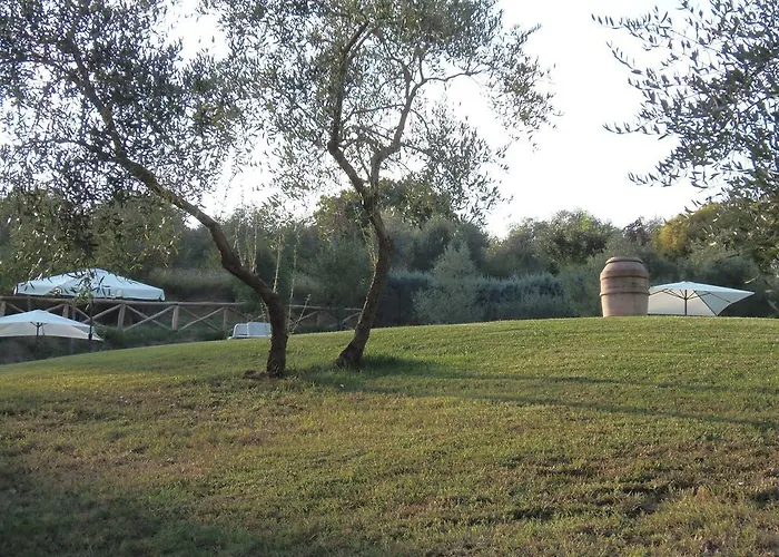 Podere La Capacciola * Sinalunga