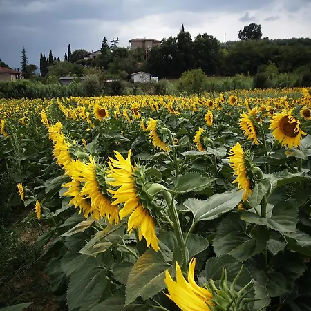 Podere La Capacciola *