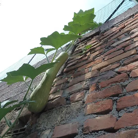Séjour à la ferme Podere La Capacciola